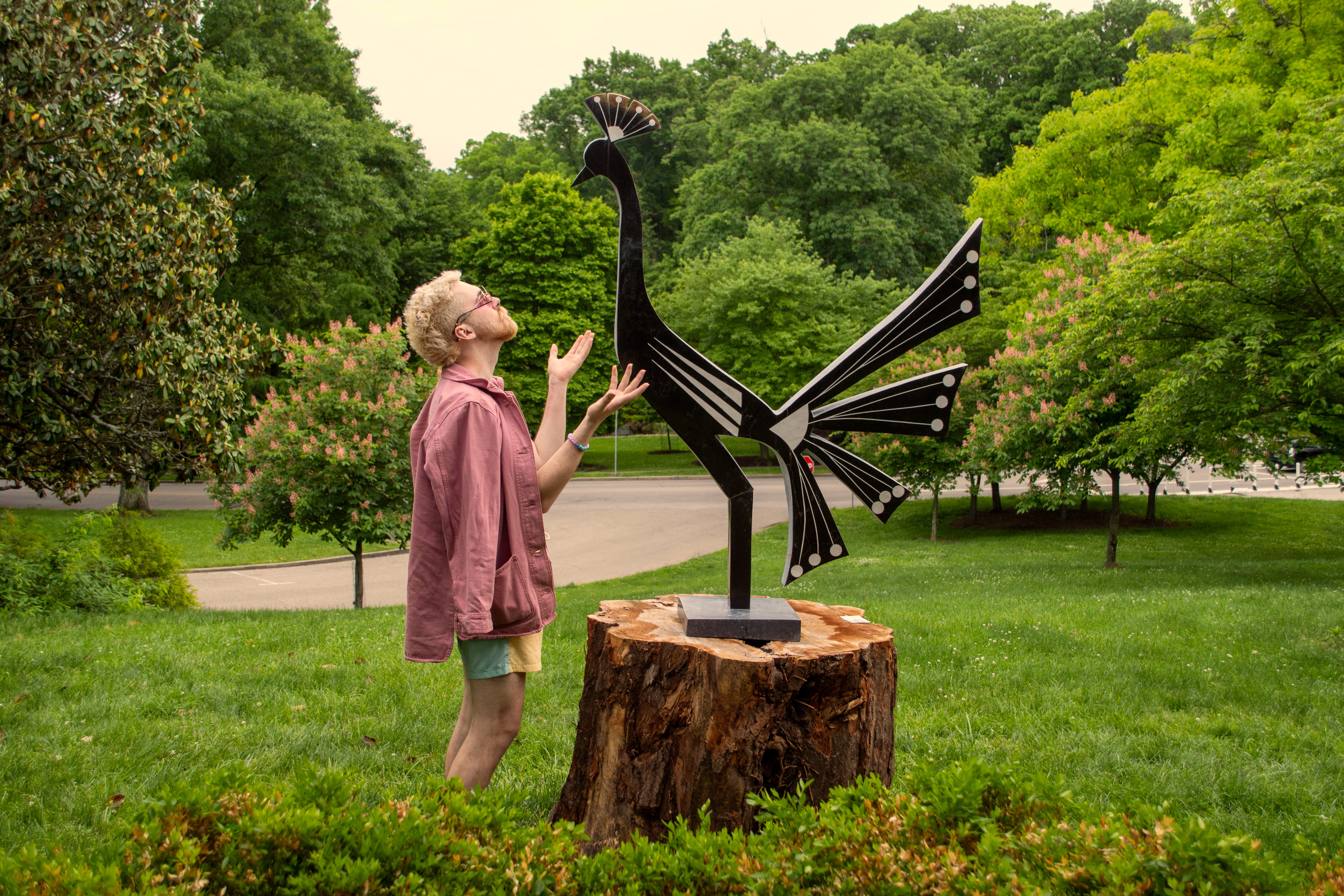 Butterfly Conservatory 3